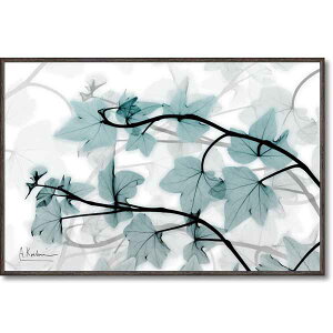 yyVLO1ʊlzHANAE A[gpl Aʐ^ LoXuACr[vS SZ  TVBL