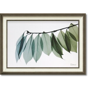 A[gpl Aʐ^ LoXu[t2vM SZ  TVGN