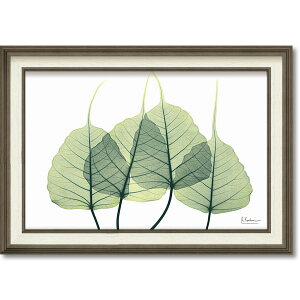 �y4/15 ����N�[�|���z �A�[�g�p�l�� �A���ʐ^ �L�����o�X�u���[�t3�vM SZ�� �� TVGN