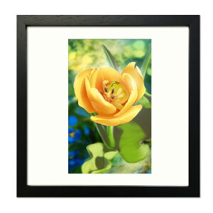 ܂Ղ A[gt[ `[bv̗d K^CeA zCXg t[A[g WN[ŉ ւ⃊rOɂ҂ Vzjɂ߂̕Ǐ ~j