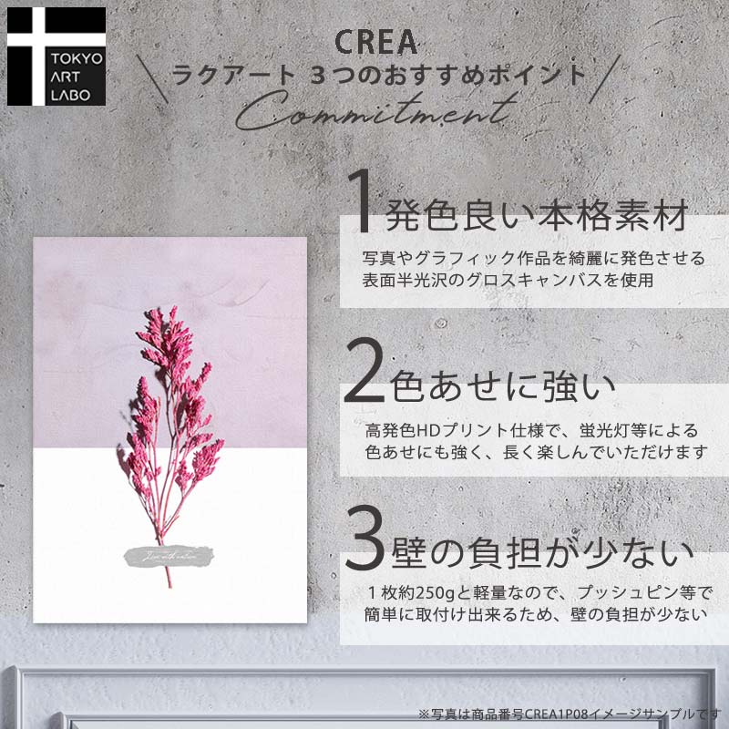 楽天市場】CREA アートパネル ピカソ 5枚セット フクロウ インテリア