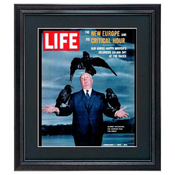 楽天市場】LIFE アートポスター ヒッチコック 映画 鳥 フレーム付き 