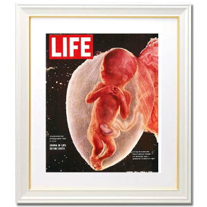 yLIFE AJgA[gz|X^[ t[t Ǌ| jIJo[ CeA re[W GJo[̕fUC