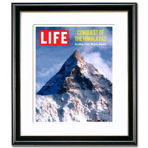 �yLIFE�|�X�^�[ �R���N�V���� �t���[���t���z �q�}�����R K2 �Ǌ|�� �Ǐ��� ���֏��� 1950�N�� �A�����J �G���J�o�[ �\�� ���� ������� �C���e���A