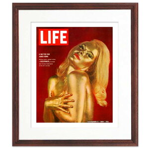 �y�A�����J�����B���e�[�W�zLIFE �|�X�^�[ �t���[���t�� 007 �C���e���A �G �Ǌ|�� ������� �A�[�g ���֏��� ���g�� �G���J�o�[ ���� �z���F