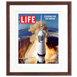 yAJBe[WzLIFE |X^[ t[t A|v CeA G Ǌ|  A[g ֏ g GJo[  zF