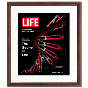 yAJBe[WzLIFE |X^[ t[t SECRET OF LIFE CeA G Ǌ|  A[g ֏ g GJo[  zF