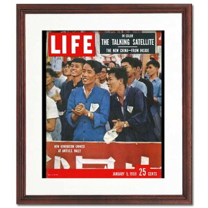 yAJBe[WzLIFE |X^[ t[t 40cmx36cm CeA G Ǌ|  A[g ֏ g GJo[  zF