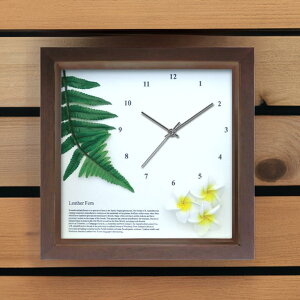 v Ǌ| |v 킢 nCA AWA Ȃ  22cm ` u  j Mtg v[g ̓