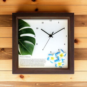 v Ǌ| |v 킢 nCA AWA Ȃ  22cm ` u  j Mtg v[g ̓