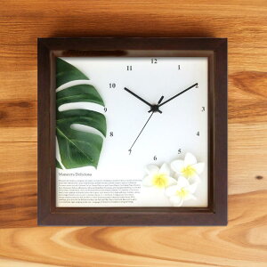 v Ǌ| |v 킢 nCA AWA Ȃ  22cm ` u  j Mtg v[g ̓