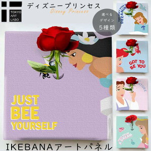 ディズニー プリンセス 花の人気商品 通販 価格比較 価格 Com