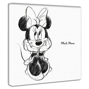 ~j[}EX Disney A[gpl fBYj[J[ht 30cmx30cm fBYj[G CeAǏ JtFELbYXy[X q av[g ̎q j̎q