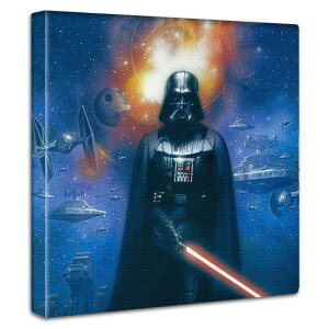 _[XxC_[ Darth Vader X^[EEH[Y A[gpl f|X^[ Ǌ| G _[XExC_[ CAP LN^[ CeA ̓ a v[g