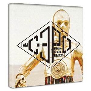 C3PO X^[EEH[Y A[gpl f|X^[ Ǌ| G _[XExC_[ CAP LN^[ CeA ̓ a v[g