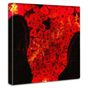 �y�労�ӍՌ���N�[�|���z �y�T�C�Y�I��15cm����ő�100cm�z ���_���t�@�u���b�N�p�l�� �V���v���ł������ȕǊ|���C���e���A �k���f�U�C���G�� �X������ �ǖʑ��� ���m�N�� �V���v�� �X��