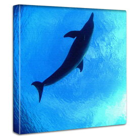 ファブリックパネル アートパネル イルカ 水中 海 海の絵 キャンバス パネル 軽量 サイズ変更可能 癒し ヒーリング 写真フォト 壁掛け 絵画 動物 哺乳類 Porpoise Dolphin アート インテリア アート ディスプレイ ダイビング かわいい むらいさち 写真家 東京アートラボ