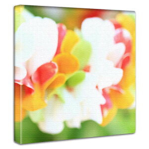 y12/4N[|z t@ubNpl A[gpl  A ʐ^tHg y LoX J}R {^jJ 썑 ][g GL]`bNy Ǌ| G A[g CeA A