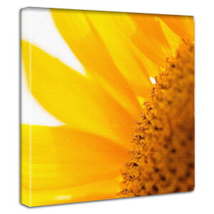 ~j}fUC A[gpl CeA Vv Ђ܂  K[fjO t[  bX XN[ T Xp i` bNX ][g t[Vbv Cxg 