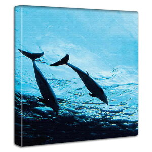 ~j}fUC A[gpl CeA ANAE   Mы CJ f z Y VeB[{[C  jOCeA T  Vbv Cxg bNX