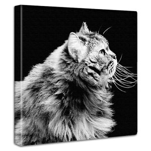 ~j}fUC A[gpl CeA g  a AeB[N i  NjbN 蕨 Mtg LO lR  a@