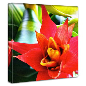 ~j}fUC A[gpl CeA A  썑 i   Vbv Cxg v[g Mtg T Xp i` K[fjO J`[ _X  bNX