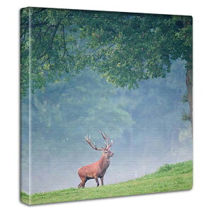 ~j}fUC A[gpl CeA  or X i ʐ^  jOCeA T  Vbv Cxg Be[W AJ K[W AeB[N i` i