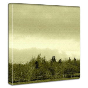 ~j}fUC A[gpl CeA Vv g ZsA X a AeB[N i  NjbN 蕨 Mtg LO Be[W AJ K[W