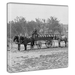 yBLACK FRIDAYN[|z A[gpl X̕ǂɏG  rO ʐ^ G vg Ǐ g  ̂̊X AeB[N n Cxg i  ʐ^ XN[ J