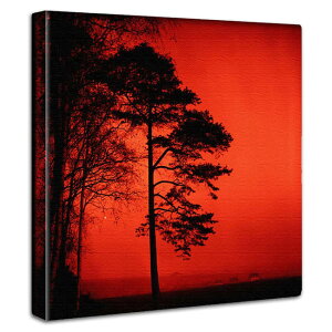 A[gpl Vv Ǌ| X ̕ǂɏG  rO Vz CeA ʐ^ tHg i gFn Vbv Cxg Mtg Be[W AJ K[W VeB[{[C