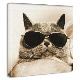 楽天市場 猫 メガネ 壁紙 装飾フィルム インテリア 寝具 収納 の通販