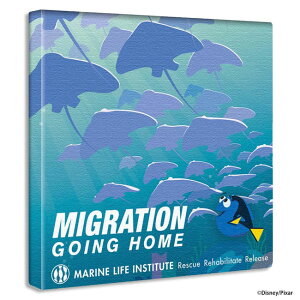 A[gpl Ǌ| 30cm t@CfBOEj G sNT[ LN^[ Aj ł킢CeA LbYXy[X q CAEgœꊴ