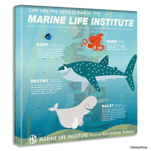 A[gpl Ǌ| 30cm t@CfBOEj G sNT[ LN^[ Aj ł킢CeA LbYXy[X q CAEgœꊴ