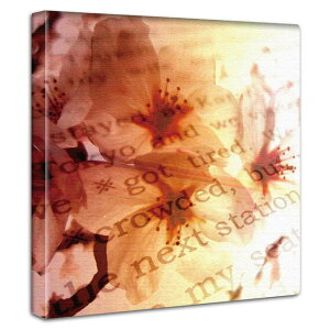 t[ElC`[ A[gpl 30cmx30cm _炩ȌʂƃpXeJ[̕Ǌ|CeA G Ȑ_炩F A[g{ yԂƃ^C|OtBz