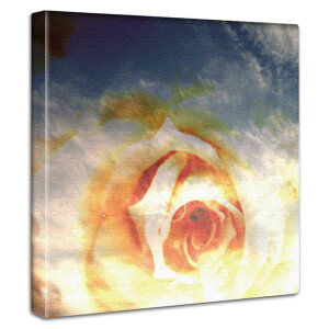 t[ElC`[ A[gpl 30cmx30cm _炩ȌʂƃpXeJ[̕Ǌ|CeA G Ȑ_炩F A[g{ yԂƋz