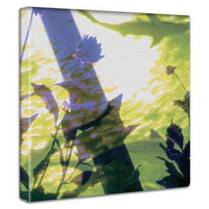 t[ElC`[ A[gpl 30cmx30cm _炩ȌʂƃpXeJ[̕Ǌ|CeA G Ȑ_炩F A[g{