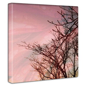 t[ElC`[ A[gpl 30cmx30cm _炩ȌʂƃpXeJ[̕Ǌ|CeA G Ȑ_炩F A[g{