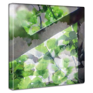 t[ElC`[ A[gpl 30cmx30cm _炩ȌʂƃpXeJ[̕Ǌ|CeA G Ȑ_炩F A[g{