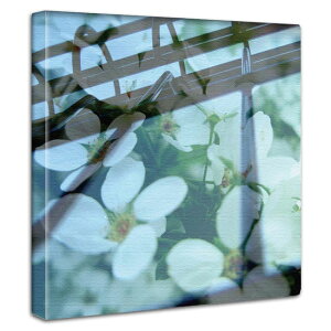 t[ElC`[ A[gpl 30cmx30cm _炩ȌʂƃpXeJ[̕Ǌ|CeA G Ȑ_炩F A[g{