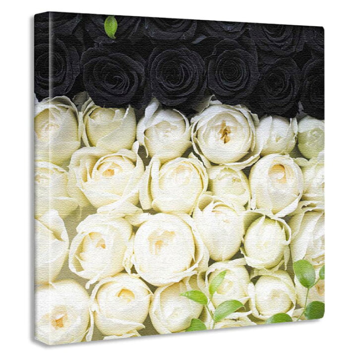 楽天市場 花のファブリックパネル キャンバスアート 白薔薇 黒薔薇 おしゃれ 壁掛け 絵 花 玄関の壁 アートフレーム 竹内陽子 ブラック ホワイト バラ ローズ フラワーアート アレンジメント スパ 教室 サロン 飾る ブライダル ウェディング ウェルカムボード 母の日