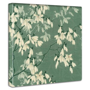 a A[gpl Vv CeA 15cm 30cm 57cm 100cm ͗l Ɩ `   D 􉽊w ͗l Vg[ fUC |X^[  CoEh h  HX  zȇҍ I