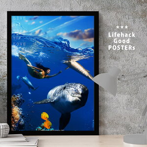 CeAA[gt[ Ocean |X^[ C A[gpl CeA fUC OtBbN CXg  jO k