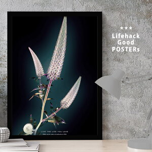 yX[p[SALEN[|z A[gvgt[ A3|X^[ t[t Wildflower G CeA   Ǌ| G Ǌ|  A[g |X^[ z zt