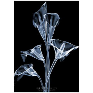 �y5��20�� ����N�[�|���z���_���|�X�^�[ �~�j�}���A�[�g �� Lilly Calla A3�T�C�Y 290x420mm �A�� �k�� �C���e���A ���m�N�� �~�j�}���X�g�f�U�C�� �N���G�C�e�B�u�A�v���[�`