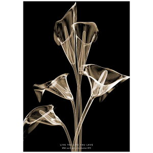 �y5��20�� ����N�[�|���z���_���|�X�^�[ �~�j�}���A�[�g �� Lilly Calla A3�T�C�Y 290x420mm �A�� �k�� �C���e���A ���m�N�� �~�j�}���X�g�f�U�C�� �N���G�C�e�B�u�A�v���[�`