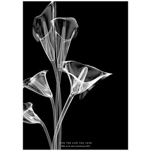 �y5��20�� ����N�[�|���z���_���|�X�^�[ �~�j�}���A�[�g �� Lilly Calla A3�T�C�Y 290x420mm �A�� �k�� �C���e���A ���m�N�� �~�j�}���X�g�f�U�C�� �N���G�C�e�B�u�A�v���[�`