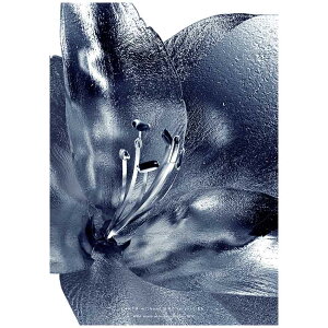 ���_���|�X�^�[ �~�j�}���A�[�g �� �A�[�g�|�X�^�[ �C���e���A MetallicFlower A3�T�C�Y 297x420mm �A�� �k�� �C���e���A ���m�N�� �~�j�}���X�g�f�U�C�� �N���G�C�e�B�u�A�v���[�`