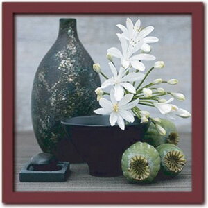 A[g|X^[ t[t Art CollectionPapaver fruit T ZEN a_
