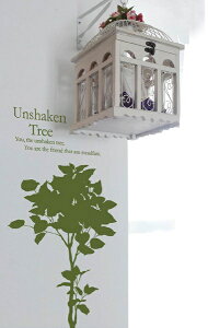 EH[XebJ[ Twin Potted Plants  킢  Lb` gC k mg[ ^  傫 傫TCY V[EBh[ fBXvC  KX ؍