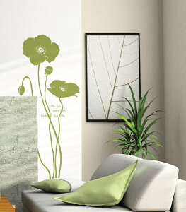 EH[XebJ[   킢  Lb` gC k mg[ ^  傫 傫TCY V[EBh[ fBXvC  KX ؍